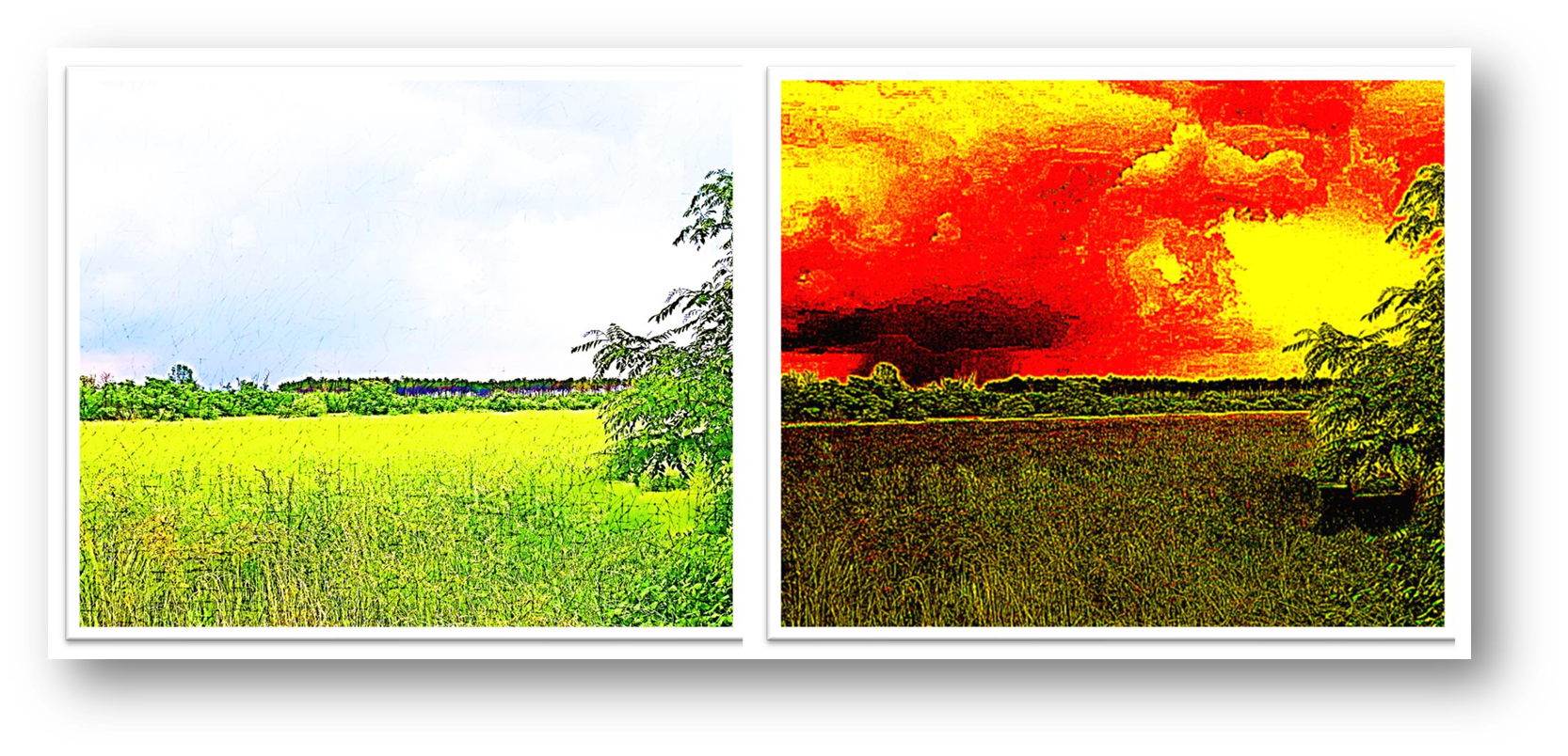 Beschreibung des Bildes