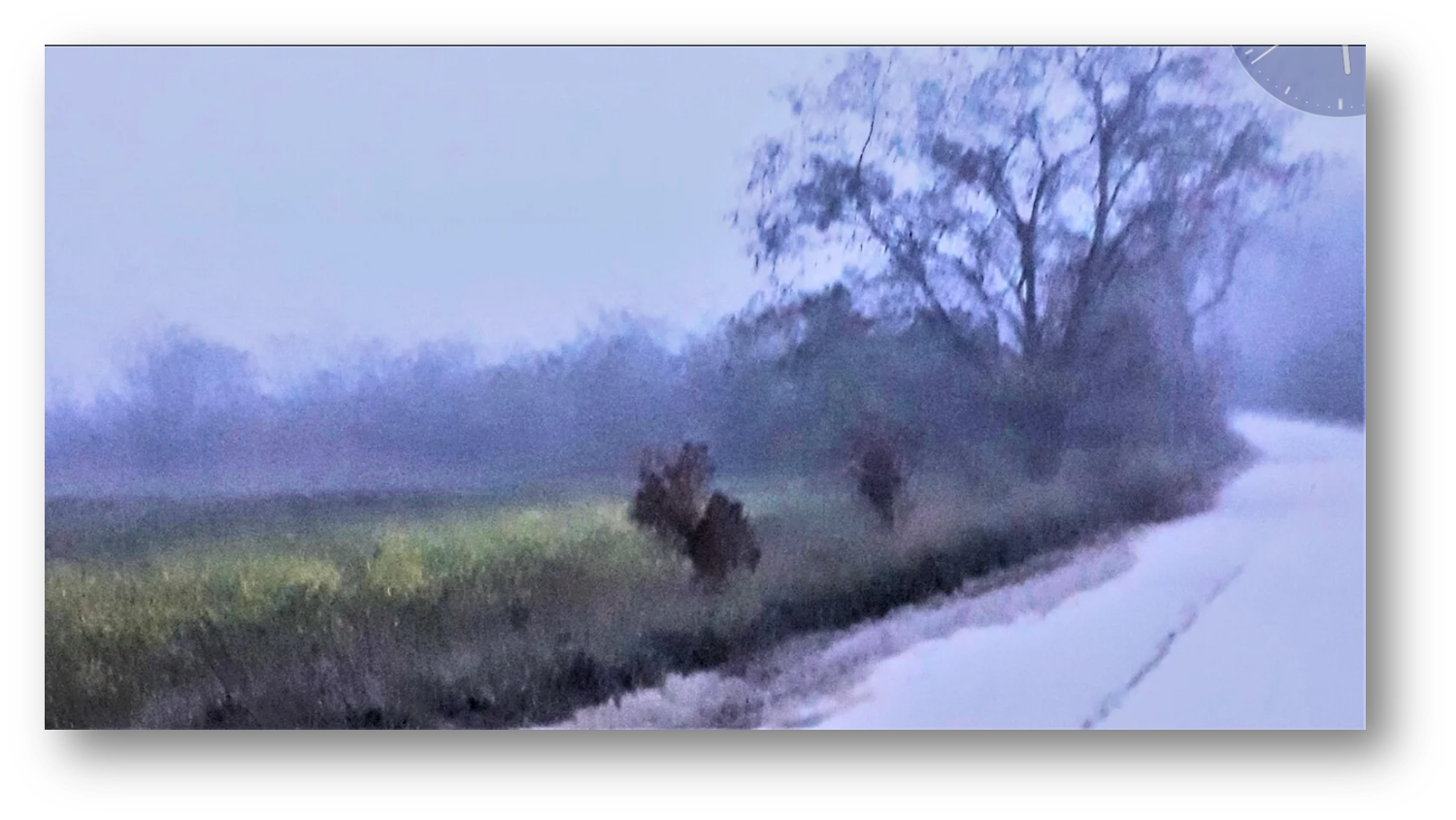 Beschreibung des Bildes