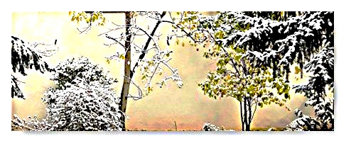 Beschreibung des Bildes