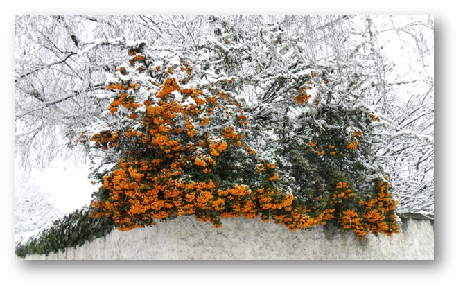 Beschreibung des Bildes