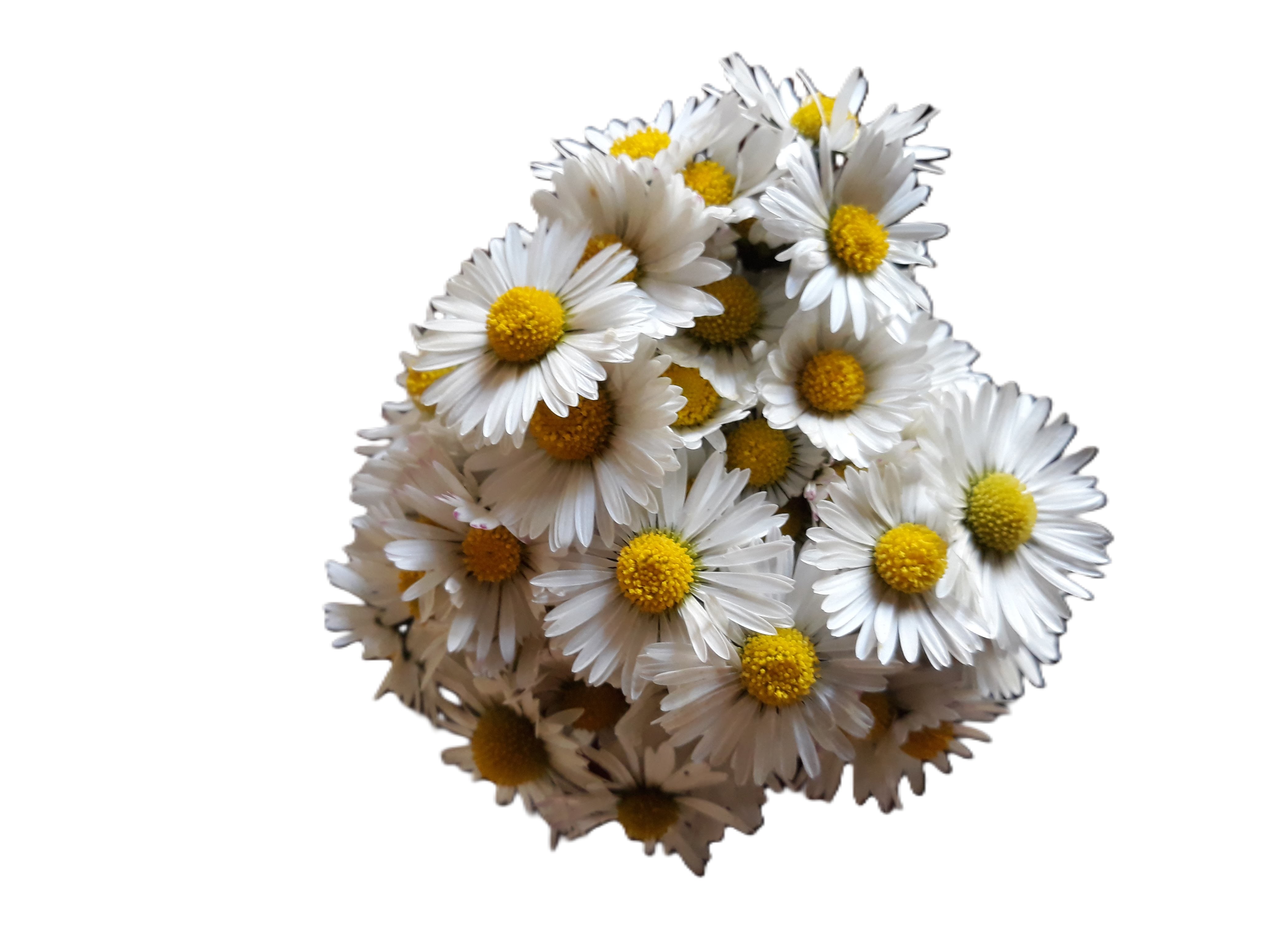 Beschreibung des Bildes