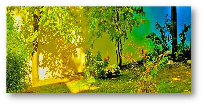 Beschreibung des Bildes