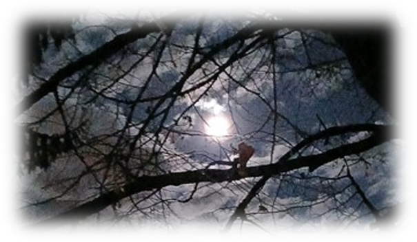 Beschreibung des Bildes