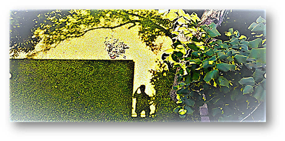 Beschreibung des Bildes