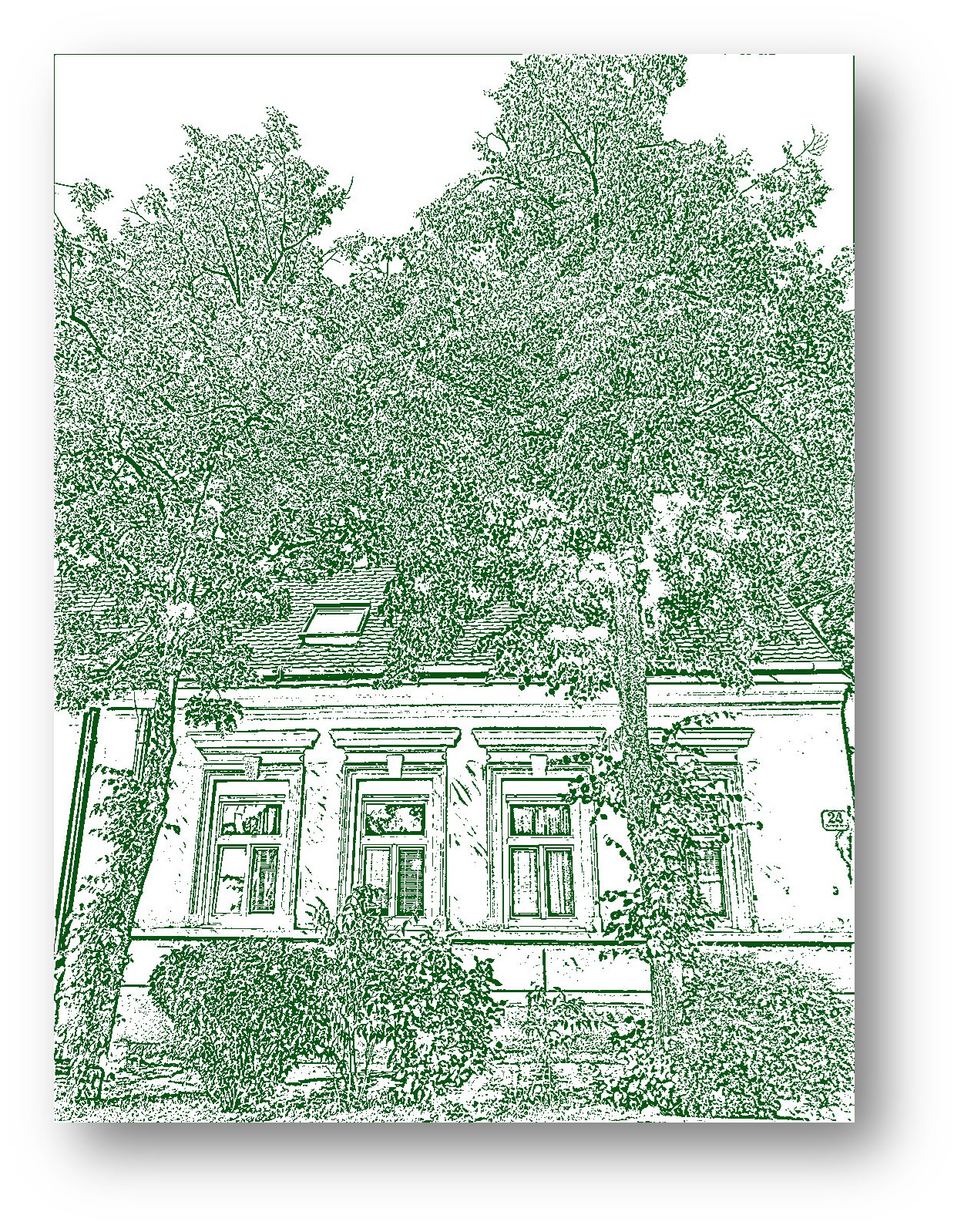 Beschreibung des Bildes