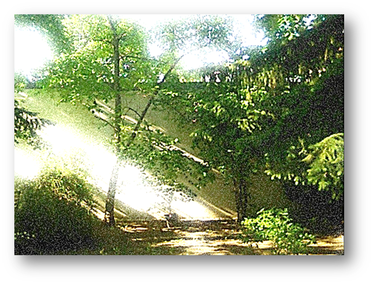 Beschreibung des Bildes